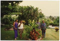 Group with plant