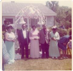 Guests standing under the wedding arch