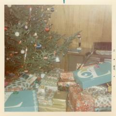 Presents under the Christmas tree