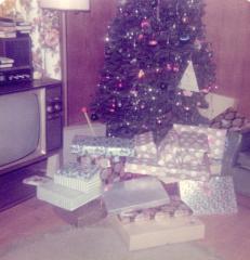 Presents under the Christmas tree