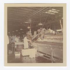 VITA Foods production line