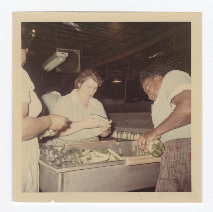 Packing spears at VITA Foods
