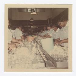 Sorting glass jars at VITA Foods