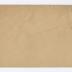Envelope to Gussie Cannon, 1894 April