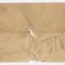 Radcliffe Mills bill, 1913 August 25