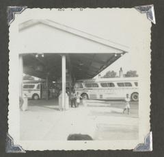Greyhound buses