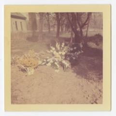 Yellow and white flowers on an unmarked grave