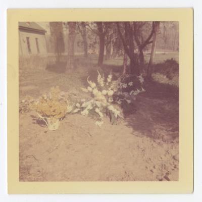 Yellow and white flowers on an unmarked grave