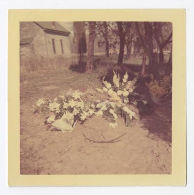 White and yellow flowers laid outside