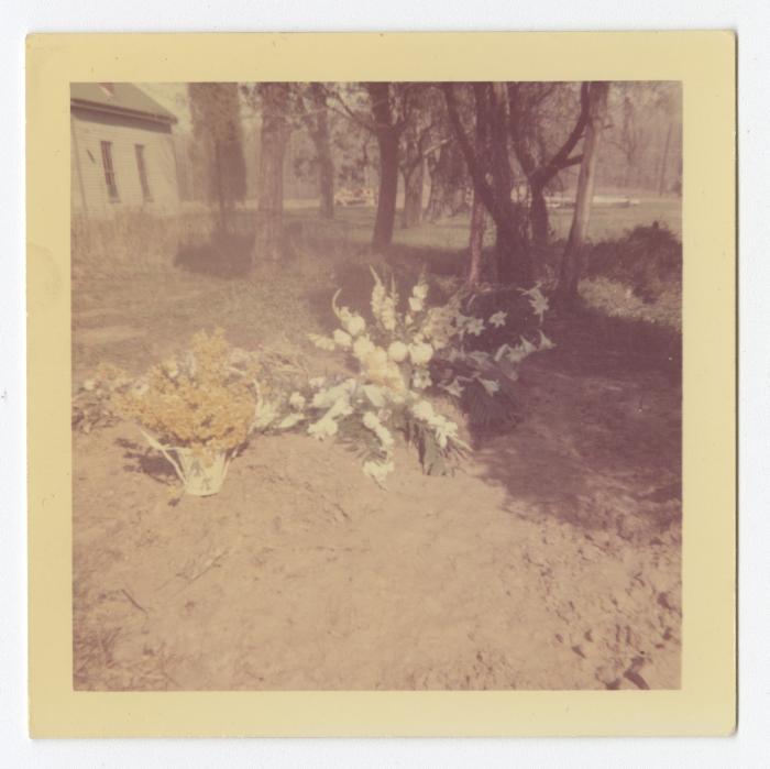Yellow and white flowers on an unmarked grave