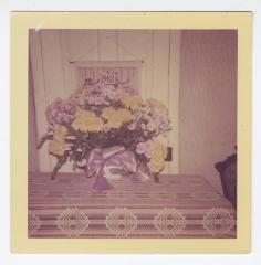 Purple and yellow flowers on a table