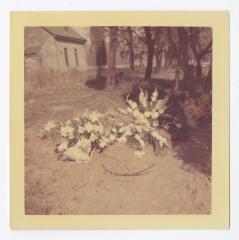 White and yellow flowers laid outside