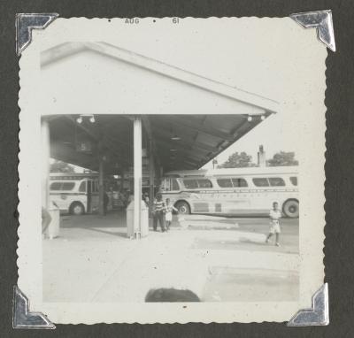 Greyhound buses
