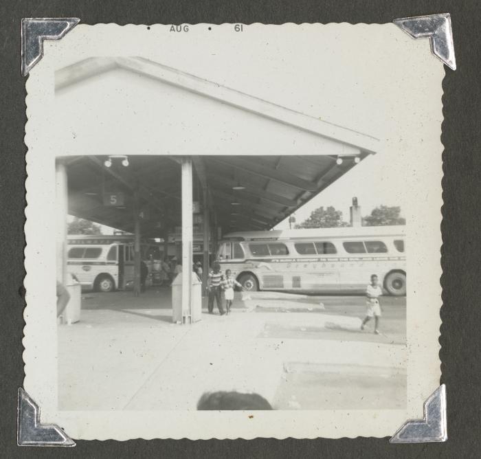 Greyhound buses