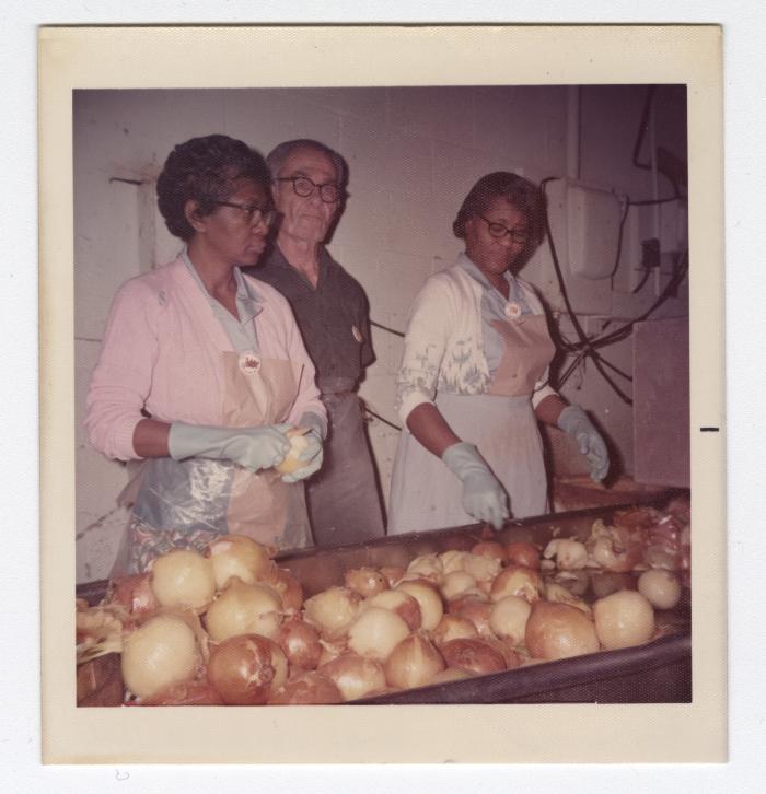 Sorting through yellow onions at VITA Foods