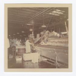 VITA Foods production line