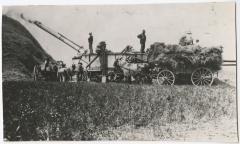 Grain being threshed
