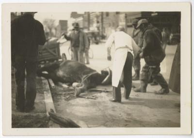 Horse and wagon accident on High Street, Chestertown, MD