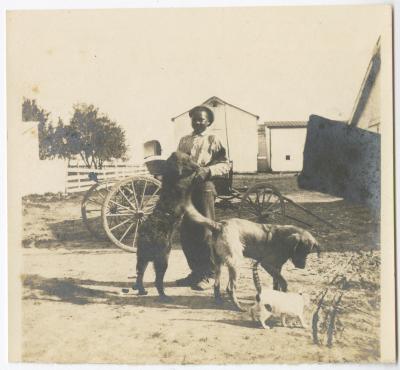 Houseboy, Danny + Billie (dog), George's "notop buggy"