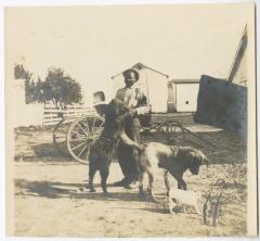 Houseboy, Danny + Billie (dog), George's "notop buggy"