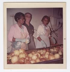 Sorting through yellow onions at VITA Foods