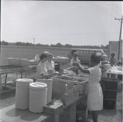 Campbell Soup Company picnic