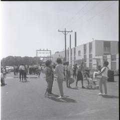 Campbell Soup Company picnic