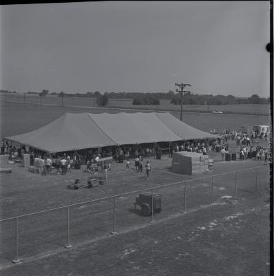 Campbell Soup Company picnic