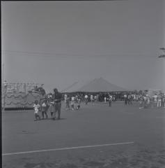 Campbell Soup Company picnic