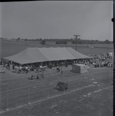 Campbell Soup Company picnic