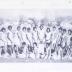 High School girls field hockey team