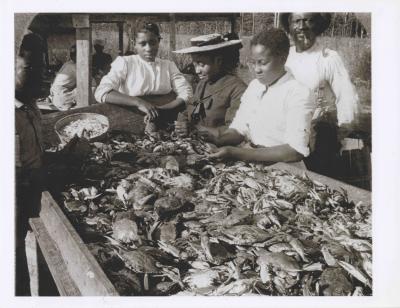 Picking crab