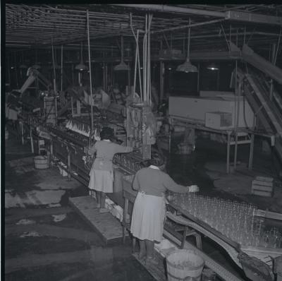 Vita Foods plant