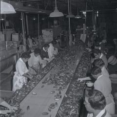 Vita Foods plant