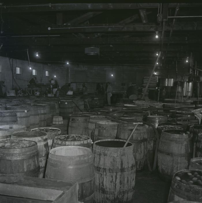 Vita Foods plant