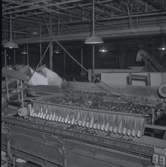 Vita Foods plant