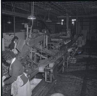 Vita Foods plant