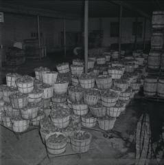 Vita Foods plant