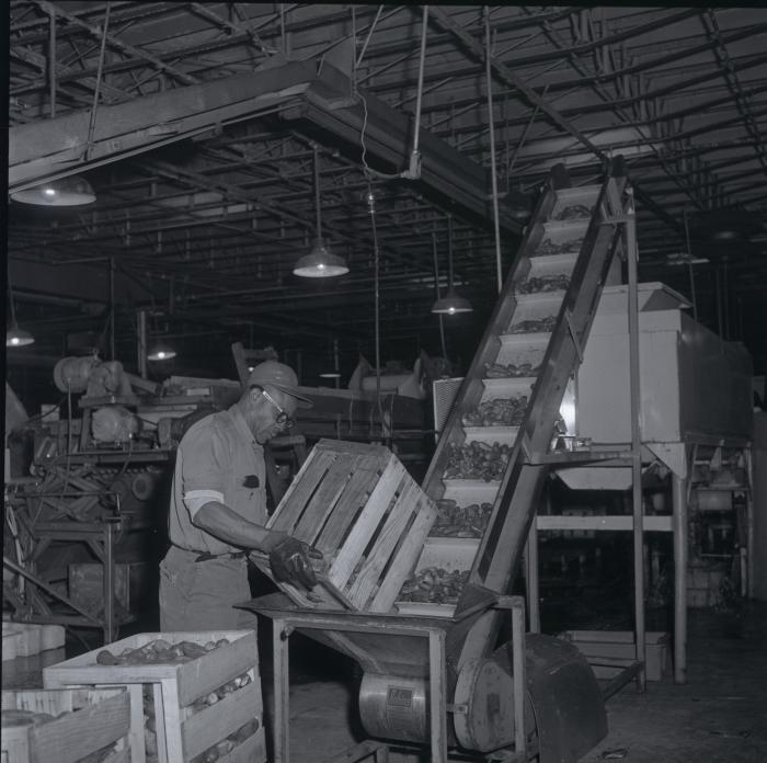 Vita Foods plant