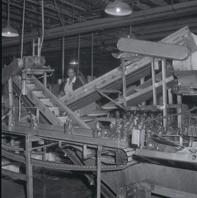 Vita Foods plant pickle canning assembly machinery