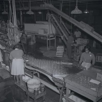 Vita Foods plant
