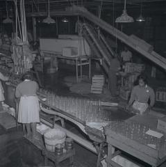 Vita Foods plant
