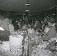 Women working on the packing line at the Vita Foods plant.