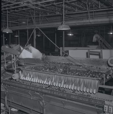 Vita Foods plant
