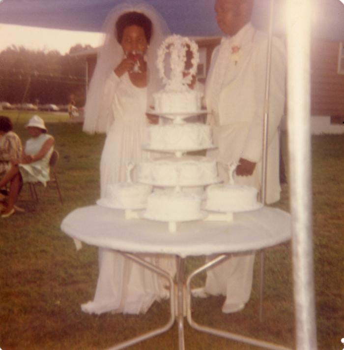 Bride and groom with the wedding cake