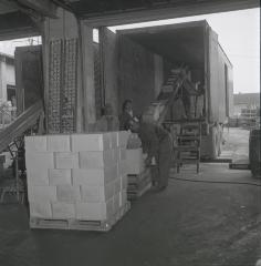 Vita Foods plant