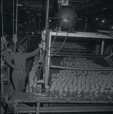 Vita Foods plant