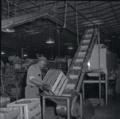 Vita Foods plant