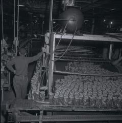 Vita Foods plant