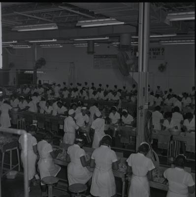 Campbell Soup plant